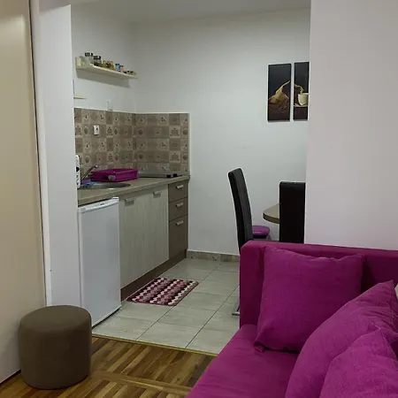 Zlatiborski Andjeo, Gaga Zlatibor