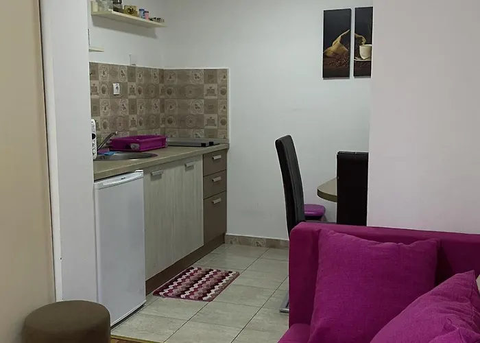 Zlatiborski Andjeo, Gaga 즐라티보