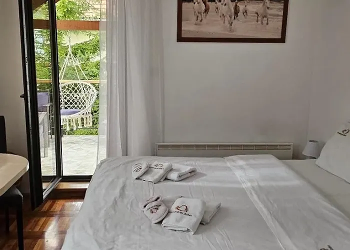 Zlatiborski Andjeo, Gaga *